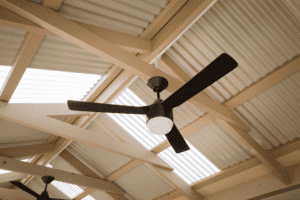 ceiling fan one